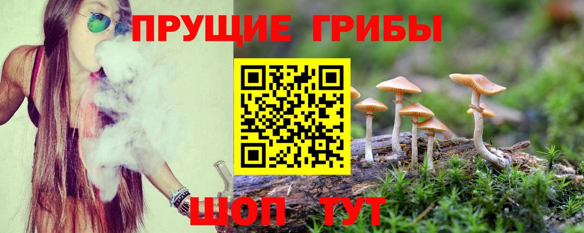 Псилоцибиновые грибы Cubensis  закладка  Вход с VPN  Костомукша  Псилоцибиновые грибы прущие грибы 